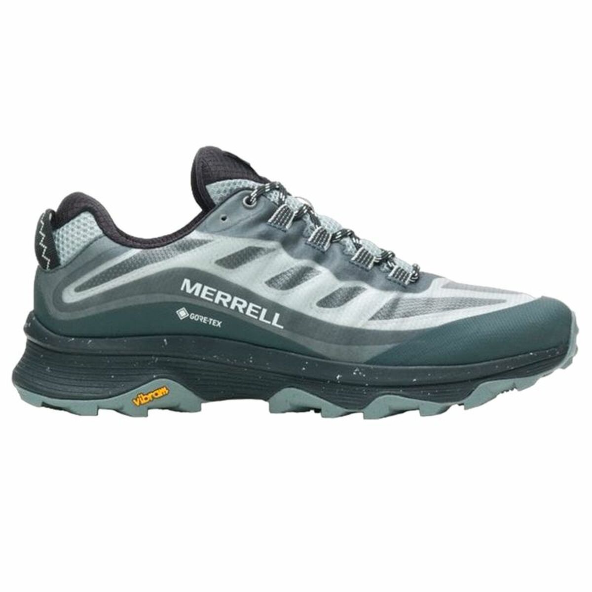 Miesten lenkkitossut Merrell Moab Speed GTX Sininen