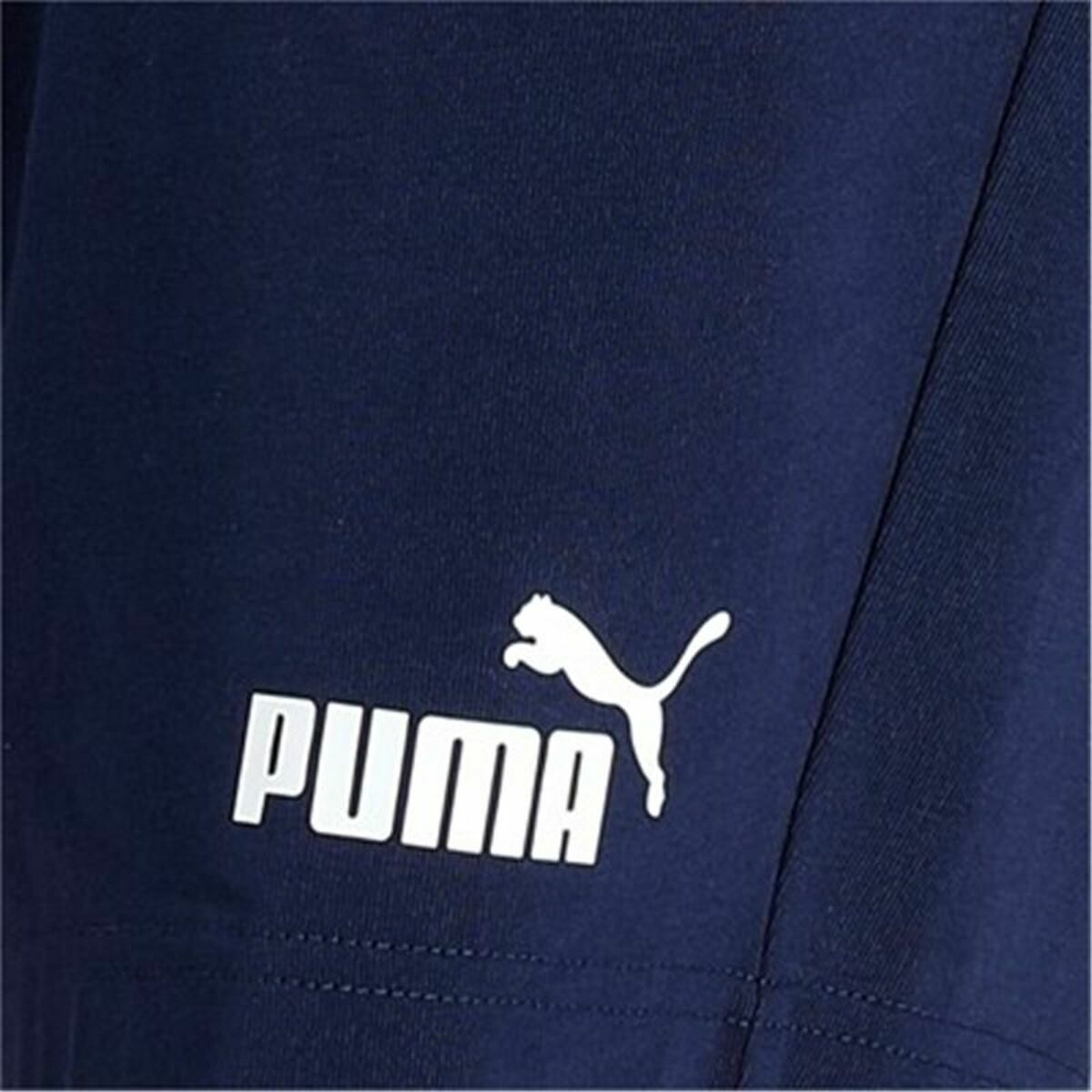 Miesten urheilushortsit Puma Essentials  Sininen Tummansininen