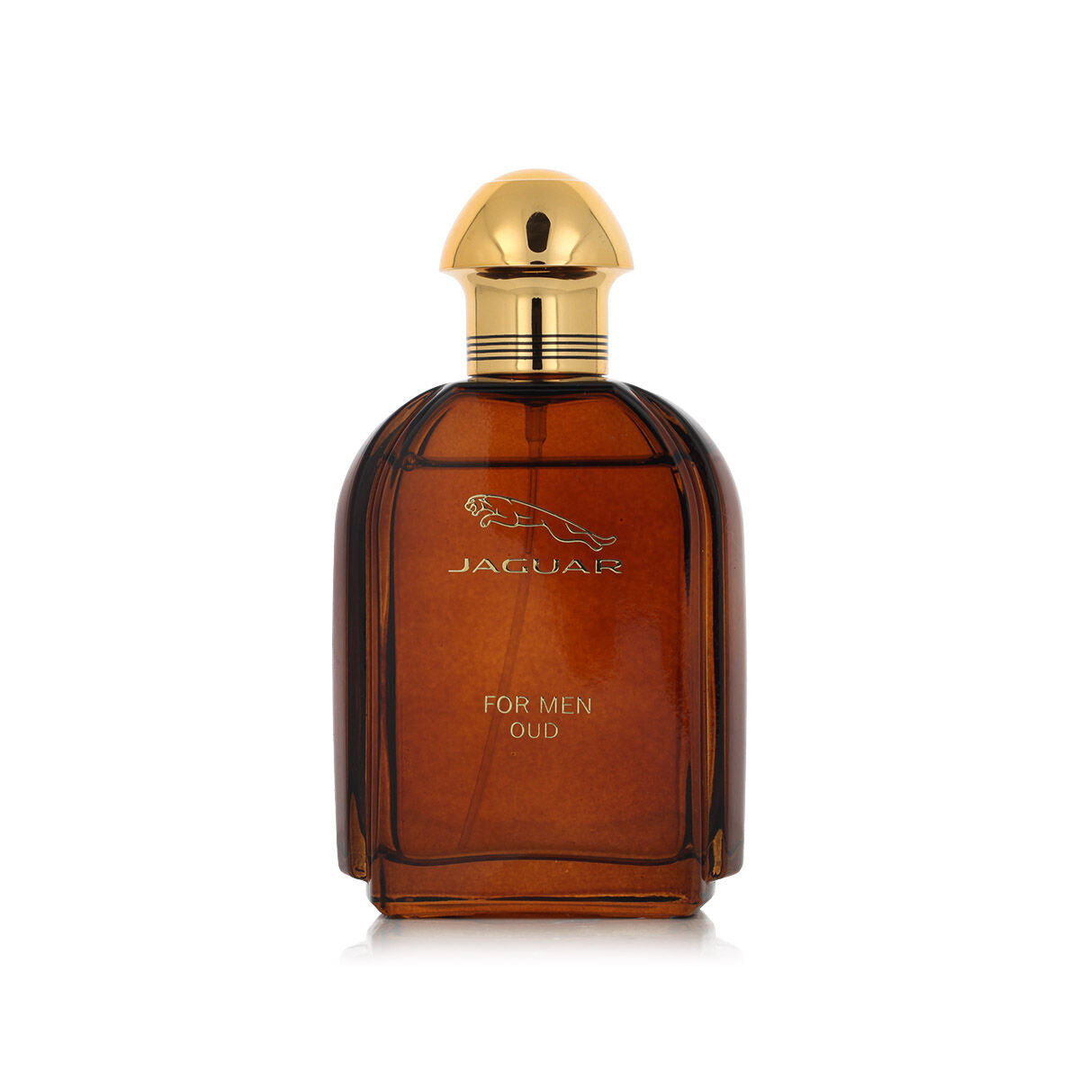 Miesten parfyymi Jaguar EDP Oud 100 ml