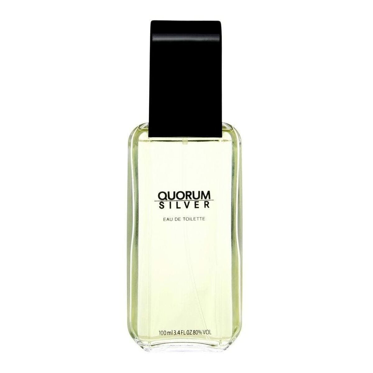 Miesten parfyymi Antonio Puig EDT Silver Quorum 100 ml